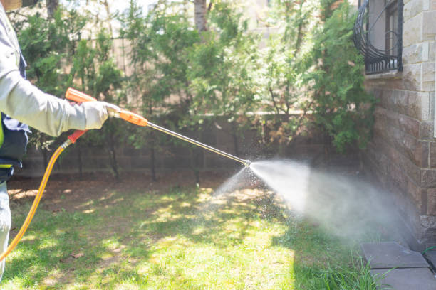 Seasonal Pest Control in Antelope, CA